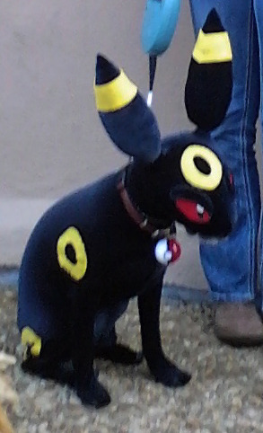 nerdsandgamersftw:  This dog cosplays much better than I could ever hope for. DeviantArt user Carrisa (Leafeon-ex) created this amazing Umbreon costume for her dog Jaguar. 