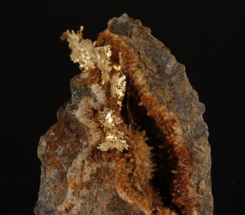 Crystallized Gold Leaf in a vug with Quartz on a Phyllite matrix - Sundrop Mine, Pershing Co., Nevad