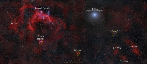 cosmicvastness: Seagull to Sirius  This broad, beautiful mosaic spans almost 20 degrees across 