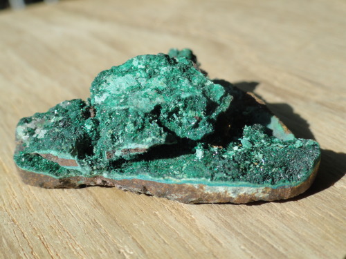 Atacamite Cu2Cl(OH)3  -  03.DA.10a (Strunz)(from Atacama’s Desert, Chile)Is a copper halide mi