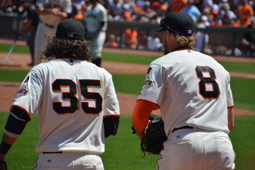 brandon crawford