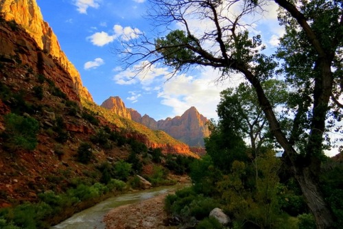 fourcornersguy:  The Virgin and the Watchman Zion National Park, Utah   The Virgin River flows out of Zion Canyon towards The Watchman Tower in Zion National Park, Utah.   