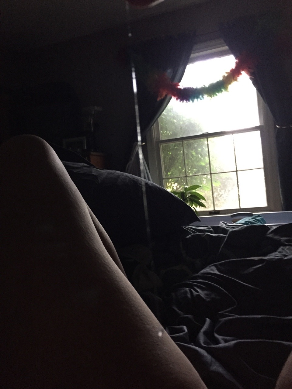 hippygirl81:  First set from today 👅💦 