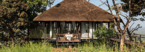 thedesigndome: Bohemian Tree Villa Nestled In India Just a few feet away from the Kuda caves in Tala