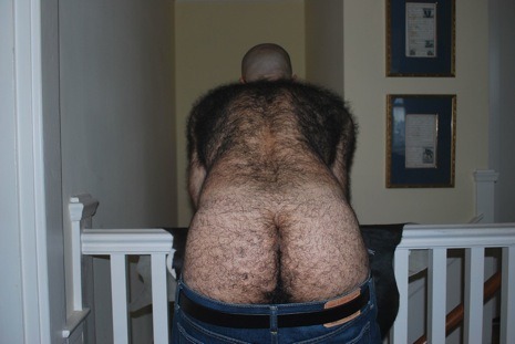 hirsuteluvr:  Heavenly   OMG - exceptionally hairy - I love it - WOOF  Wished he was all mine!