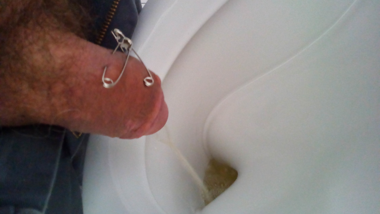 Schwein am Pissoir
