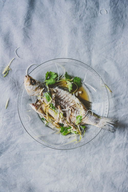 bettysliu:  a classic Chinese dish, perfect for Chinese New Year: Whole Steamed Fish bit.ly/1