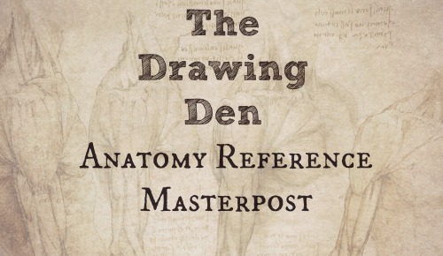 drawingden: A list of resources for life drawing and anatomy reference, feel free to add your own li