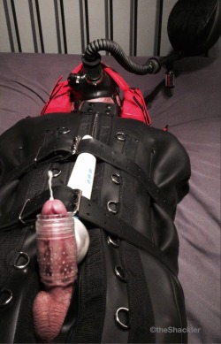 theshackler:  @pupkuva 