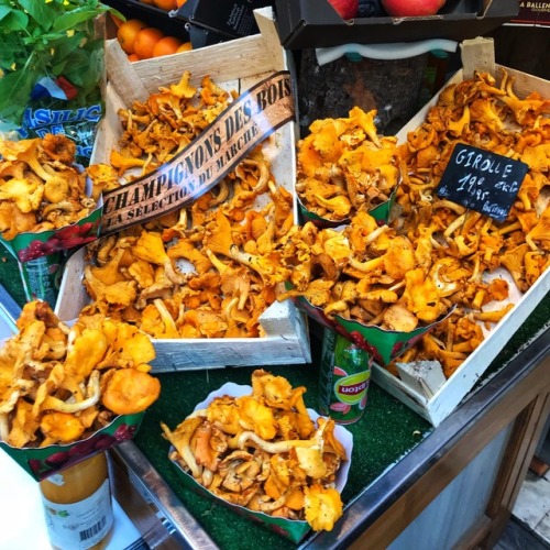 Champignons des bois, Rue St. Dominique, Paris, 7eme Arr. 2017.