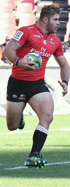 allsportsmen:Big Burly Rugby player thighs