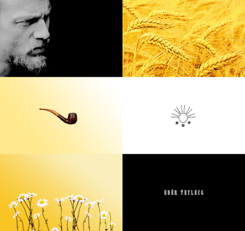 rosewaterhag: Pillars of Eternity + Character Aesthetic Edér Teylecg [1/?]