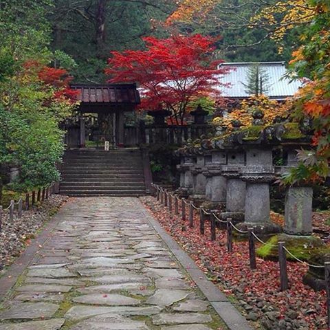 #Nikko #Tochigi #Giappone #Japan #Nihon #Instamoment #Instatravel #Toshogu #Autumn #Trieste #日光 #日本 