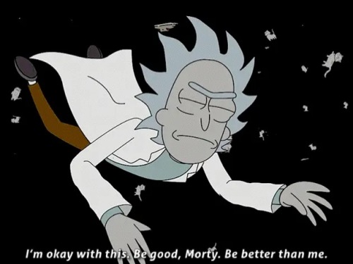 Morty: Im Afraid That If I Jumped Into A Hole You Wouldnt Even Bother Jumping In After Me. Youd Just