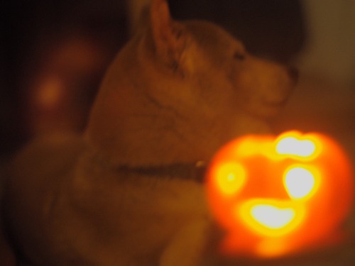 Happy Halloween