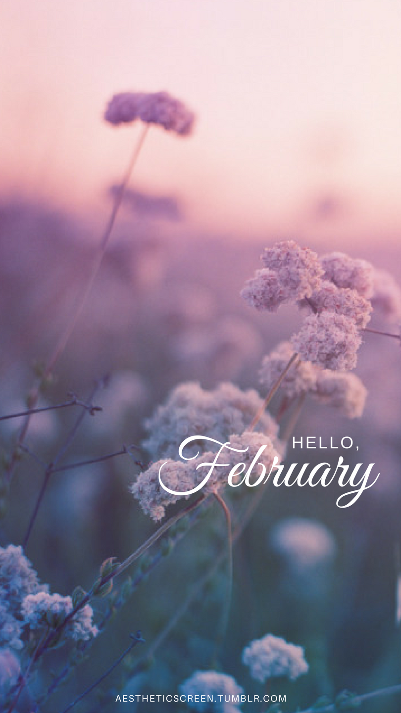 Fashion products Hello February 50 Aesthetic Wallpapers For Your Phone,  aesthetic wallpaper hello - sbsol.net