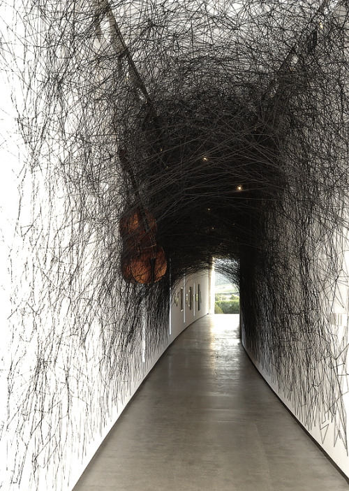 CHIHARU SHIOTA