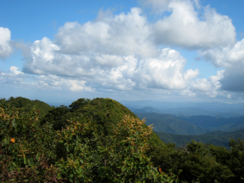 小倉谷山（おぐらたにやま、Mt.Oguratani、標高910.6m）、富士写ヶ岳（ふじしゃがだけ、Mt.Fujishagadake、標高941m）、小倉谷山山頂から見た富士写ヶ岳小倉谷山山頂から見た