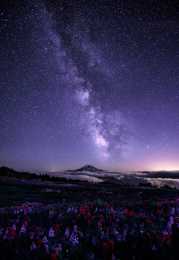 dawnawakened:  Scott Smorra - &lsquo;Before Morning&rsquo;, 2012 