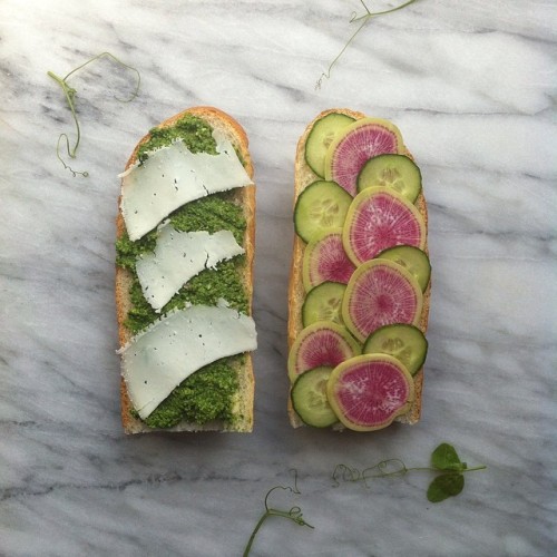 Pea + Mint Pesto / Montealva Goat’s Milk Cheese / Watermelon Radish / Cuke