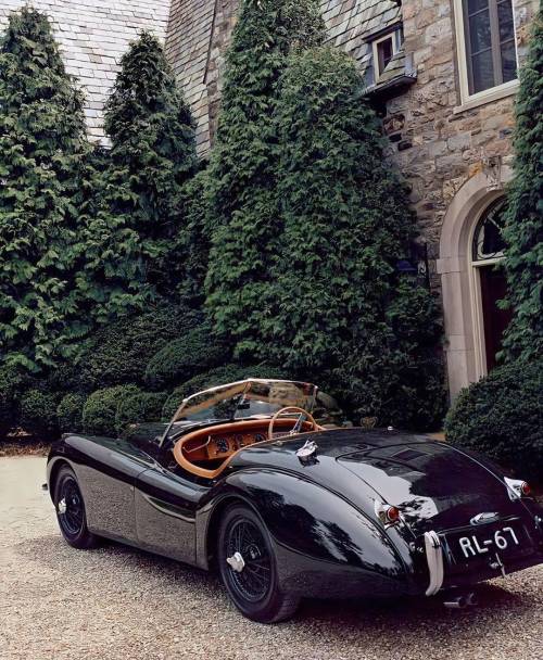 frenchcurious:  Jaguar XK120 Roadster 1950, porn pictures