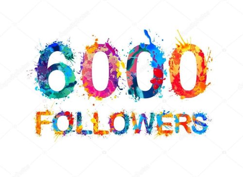 Just, WOW! 6000 followers, and we are proud to say that they are organically ours! We have never pai