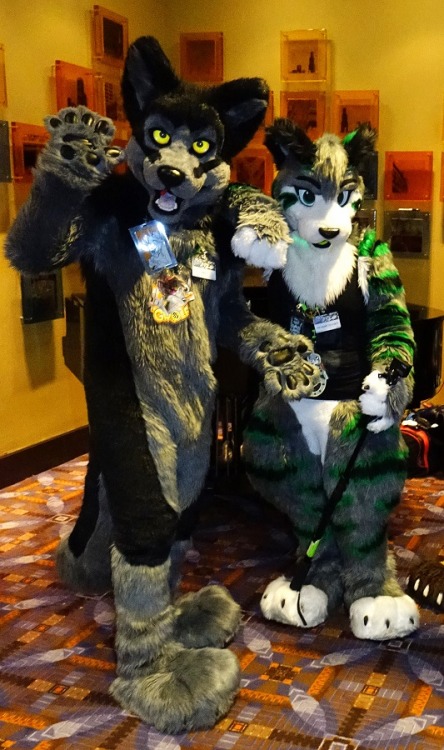 Porn photo twitchytigs:  Tigsy and GW0LF at Midwest