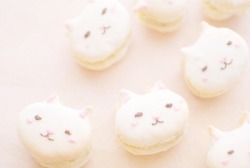 kawaiistomp:Cat macarons ~ (photo credit)(please