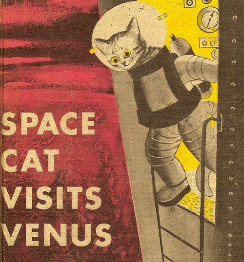 Sex gameraboy1:Space Cat pictures