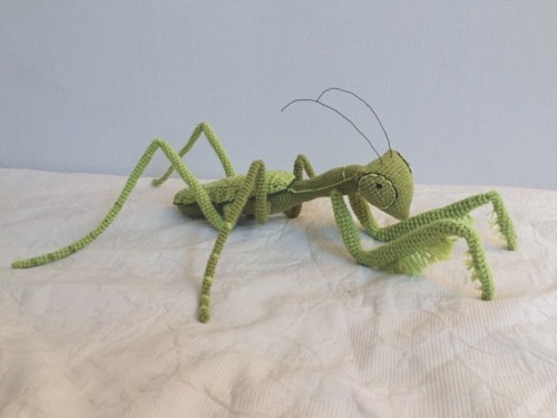 safetea: this praying mantis got me into art school 🍃✨ <3 <3 <3