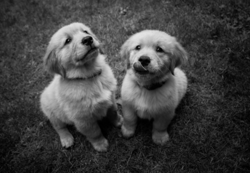 Hey Beautiful!