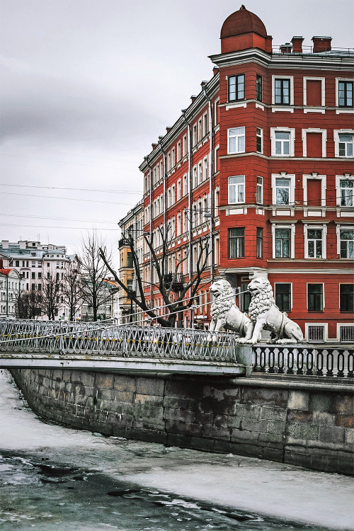 Lion`s Bridge, St. Petersburg - Russia