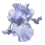mithrunee
