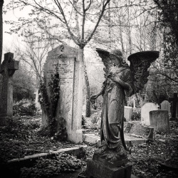 light-of-decay:  Highgate Cemetery II by ~Jez92