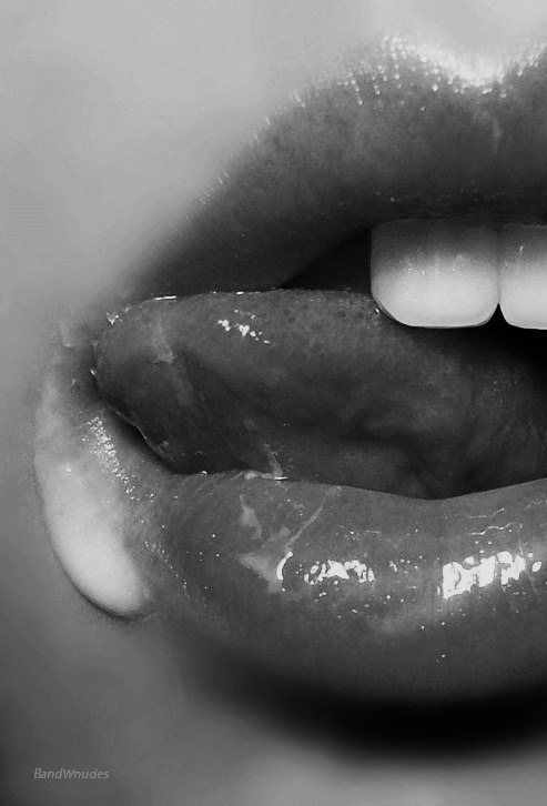 My Sex Blog