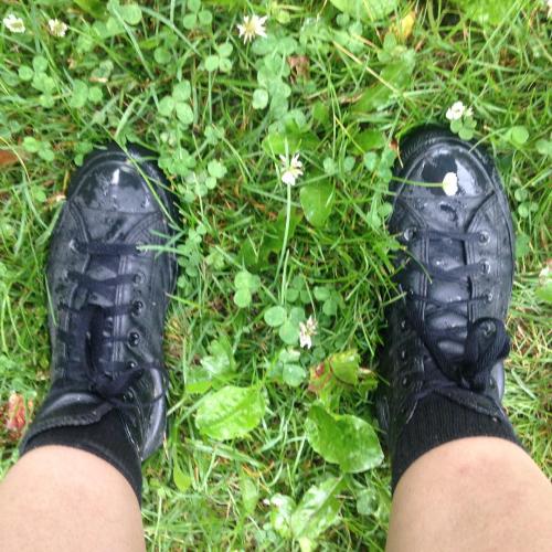 <p>Not the best day to wear leaky chucks. How about some new ones @converse? #techlife #toronto #theatretech #leakychucks #soundgirl #teamaudio #nofilter #shakespeareinthepark #rainday</p>