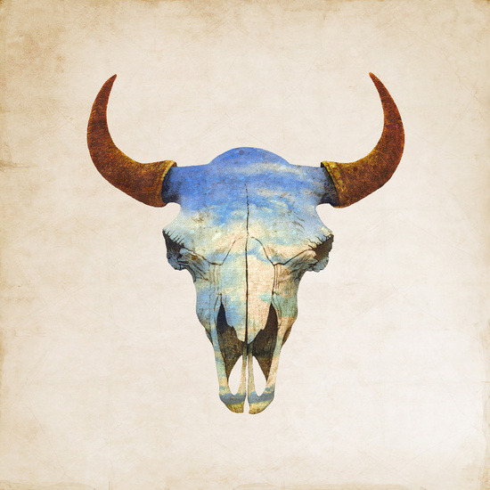 bestof-society6:    ART PRINTS BY TERRY FAN  Memento Mori A Beautiful Death Navajo