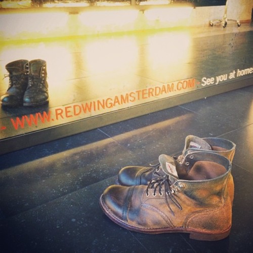 redwingshoestoreamsterdam:  We recently oiled these good looking babies of Christian. See you at home! | Red Wing Shoes 8113 Iron Ranger Hawthorne Muleskinner | http://ift.tt/180OFjM | #redwing #redwings #redwingshoes #redwingheritage #redwingamsterdam