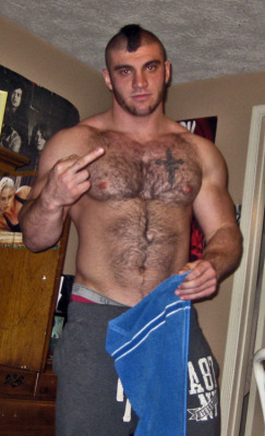 pnobear:  hairymacho:  http://hairymacho.tumblr.com