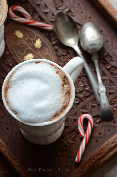confectionerybliss:Skinny Vanilla-Peppermint Mocha Lattes | An Edible Mosaic