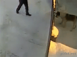 gifini:  For other gifs http://gifini.tumblr.com/
