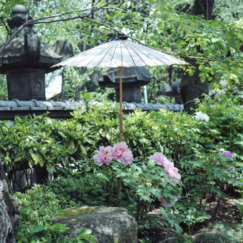 Ueno Toshogu Shrine,Taitō-ku(上野東照宮,台東区) by Ou KinhakuVia Flickr:HASSELBLAD 503CW+Planar CB 80mm F2