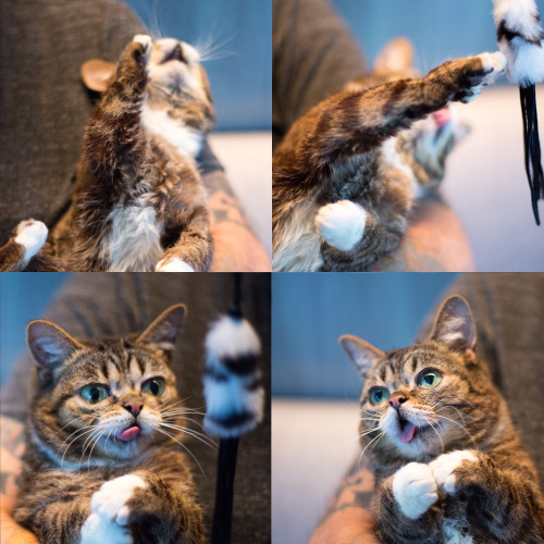 bublog:  BUB, you are amazing at everything.