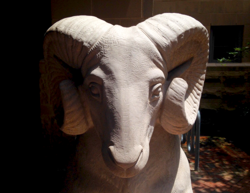 virginiacommonwealthuniversity: Who else is #RamProud?