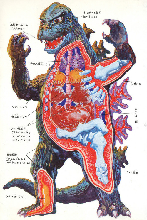 70sscifiart:  Above: a peek into Godzilla’s anatomy. Below: a way more accurate