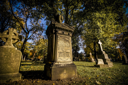 St. James Cemetery (Toronto)From Wikipedia The Anglican St. James Cemetery is the oldest cemetery in