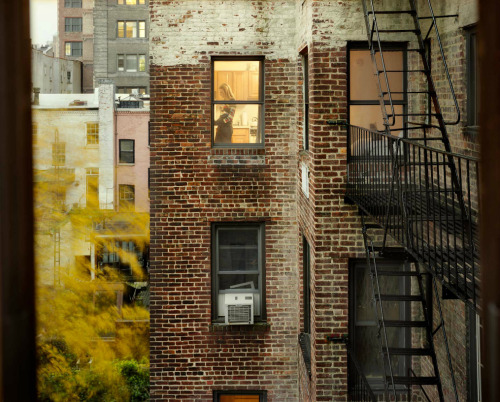  Gail Albert Halaban - Out My Window 