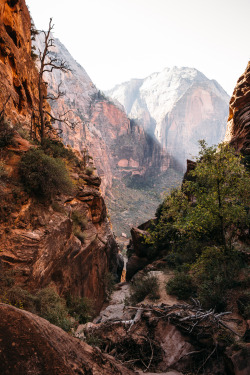 christophermfowler:Angels Landing | Zion National Park | October 2017