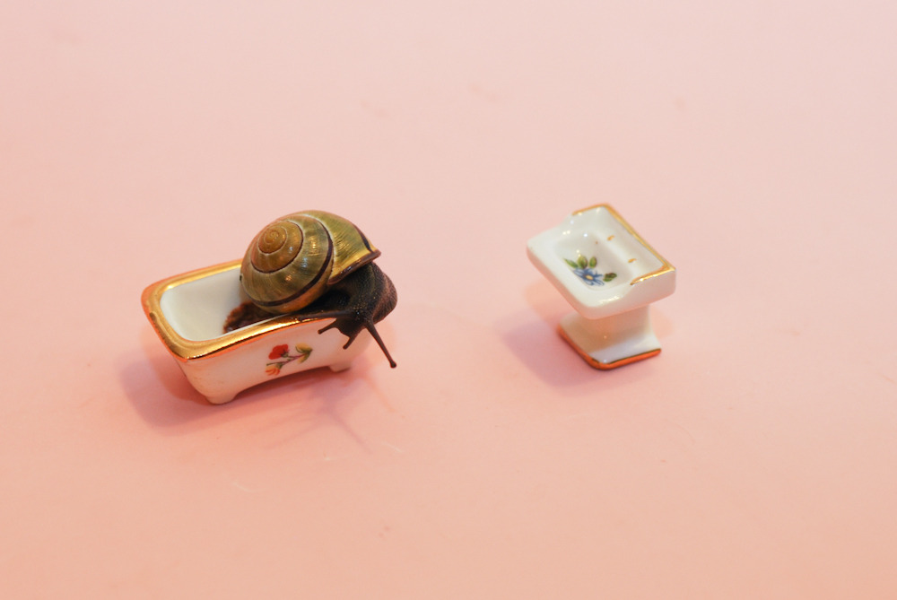 oliverthesnail:  Rub-a-dub-dub, a snail in the tub! 