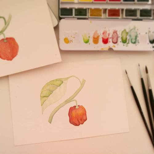 Tarde de acuarelas watercolor afternoon!